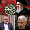 Profile picture of ‌شهلا بروجنی‌