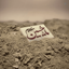 Profile picture of ‌امیررضا‌