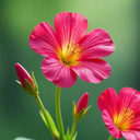 Profile picture of ‌زهره روهنده‌