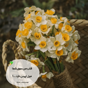 Profile picture of ‌رفیق‌