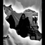 Profile picture of ‌خـٰانومِ فآ 🇮🇷 🖐🏻‌