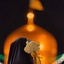 Profile picture of ‌Fatemeh‌