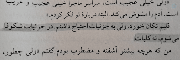 ‌•زهرا•‌'s header picture