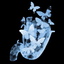Profile picture of ‌Blue 🇮🇷‌