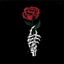 Profile picture of ‌Mrx‌