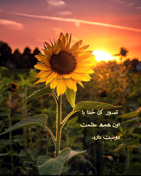 تصور کن...