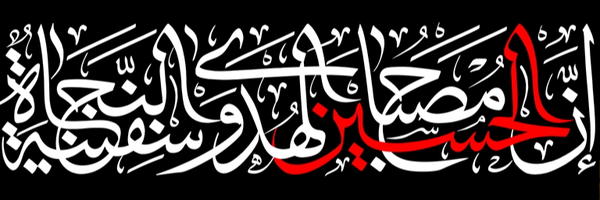 ‌سیدرضا تقوی‌'s header picture