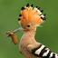 Profile picture of ‌هدهد‌
