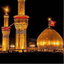 Profile picture of ‌طاها نوروزی‌