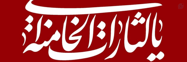 ‌زینب محسنی‌'s header picture