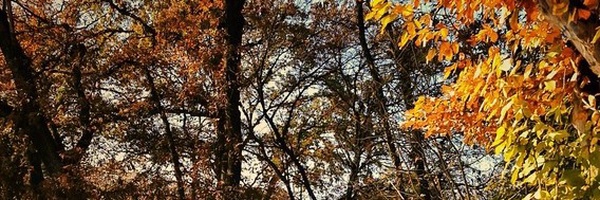 ‌مهربان‌تر از مادرمی‌'s header picture