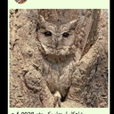 Profile picture of ‌user1748160325020761300 ق‌