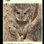 Profile picture of ‌user1748160325020761300 ق‌