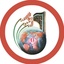 Profile picture of ‌دفتر تبلیغات اسلامی اصفهان‌