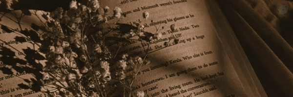 ‌مأوا 𐙚‌'s header picture
