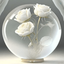 Profile picture of ‌رز سفید_590516‌