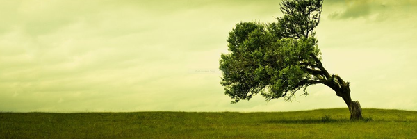 ‌محمدرضا شهبازی‌'s header picture
