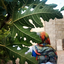 Profile picture of ‌☫𝐒𝐚𝐫𝐚🇱🇧|off‌