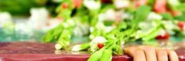 ‌محمد توللی امجد‌'s header picture