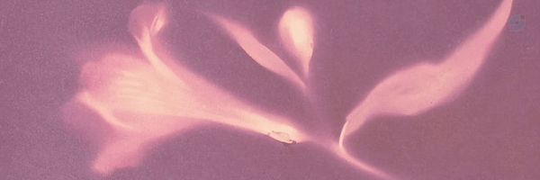 ‌Lorian Marethus‌'s header picture