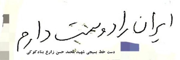 ‌زهرا زارع بنادکوکی‌'s header picture
