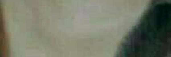 ‌محمدرضا فیروزیان‌'s header picture