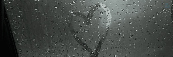 ‌مـریـم‌'s header picture