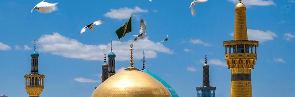 ‌امیرعلی غفرانی‌'s header picture