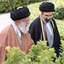 Profile picture of ‌Meshkat Maghsoudi‌