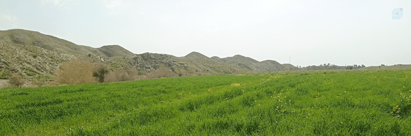 ‌Nader Shakeri‌'s header picture