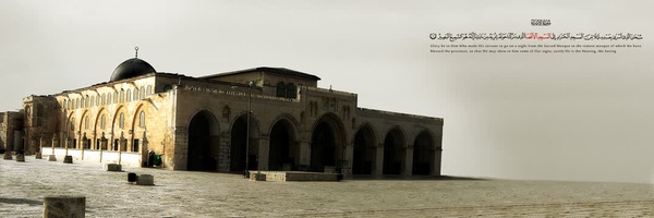 ‌احمد کارآمد‌'s header picture