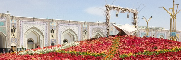 ‌سیداحمد حسینی‌'s header picture