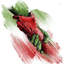 Profile picture of ‌🔰 جنگ رمضان |  Ramezan War‌