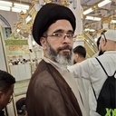 Profile picture of ‌سید محمد علوی زاده‌