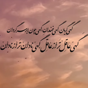 Profile picture of ‌fatemeh Shiralizadeh‌