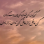 Profile picture of ‌fatemeh Shiralizadeh‌