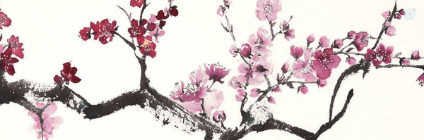 ‌سینا حق‌طلب‌'s header picture