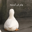 Profile picture of ‌☫ریـــحام‌