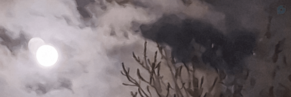 ‌A.Roshandel‌'s header picture