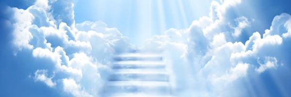 ‌ریحانه‌'s header picture