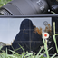 Profile picture of ‌ࢪیحانہ‌
