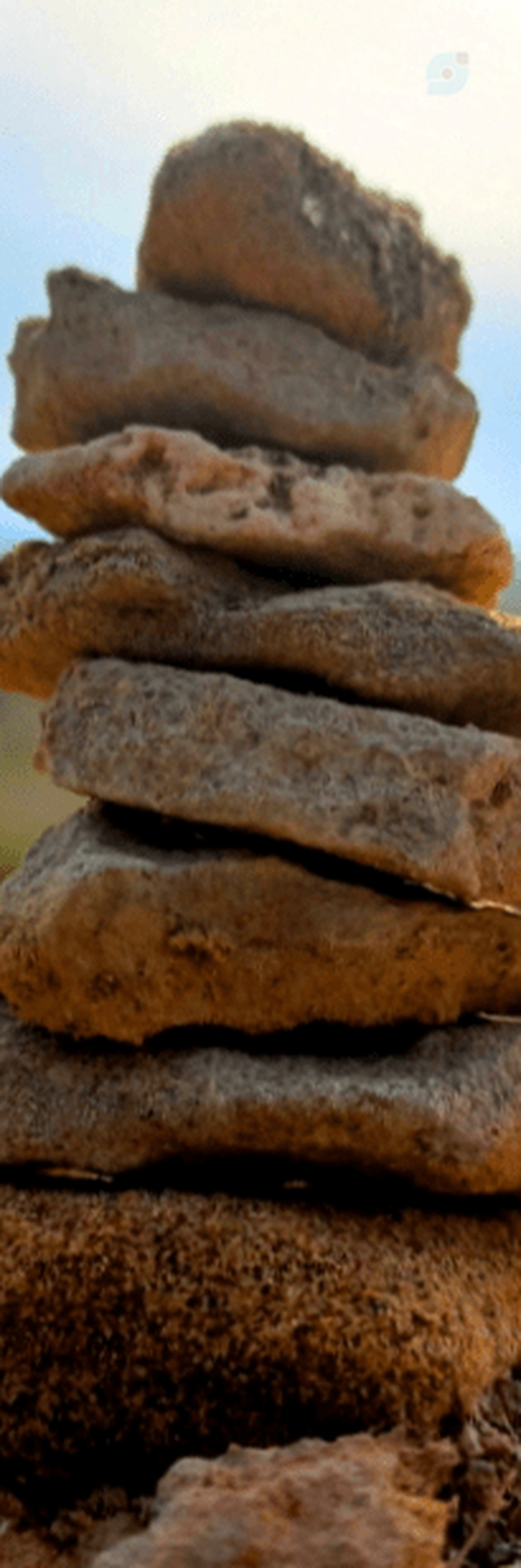 ‌فتحعلی علوی سوق‌'s header picture