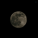 Profile picture of ‌ضحا شهرآبادی‌