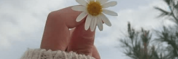 ‌آتیلا؛‌'s header picture