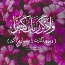 Profile picture of ‌M.zahraei‌