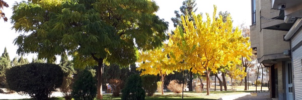 ‌Pourya Hasani‌'s header picture