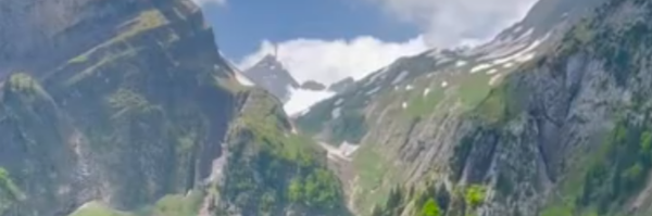 ‌رویا موسوی‌'s header picture