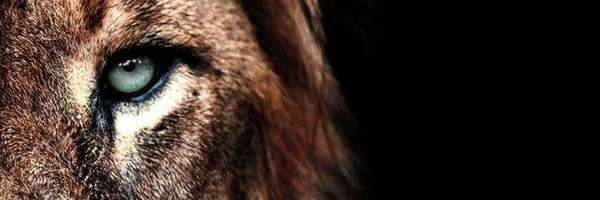 ‌حسن زینلیان‌'s header picture