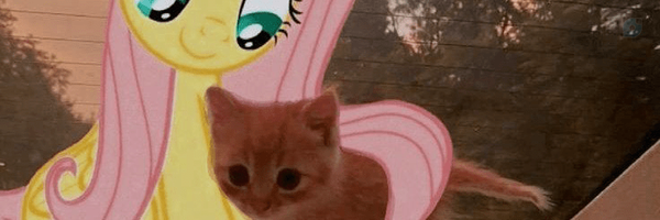 ‌گوربه‌'s header picture