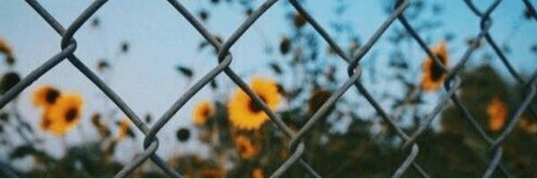 ‌دوست عزیز‌'s header picture